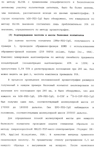 Физиологически активный полипептидный конъюгат, обладающий пролонгированным периодом полувыведения in vivo (патент 2312868)