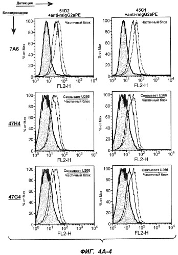 Апоптотические антитела против ige (патент 2500686)