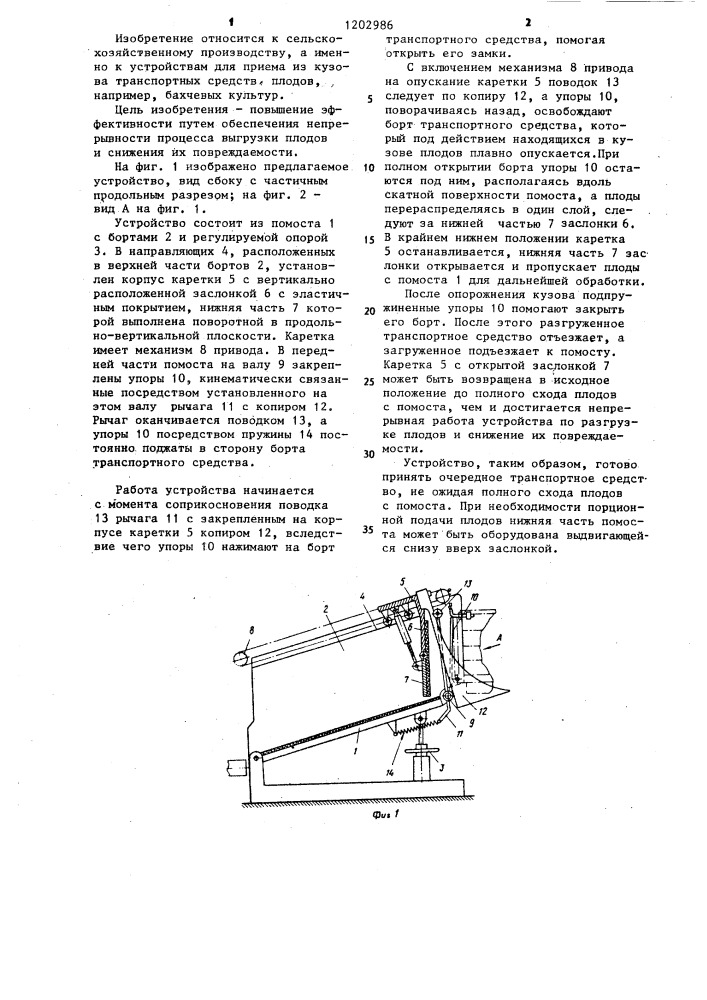 Устройство для выгрузки из транспортных средств легкоповреждаемых плодов (патент 1202986)