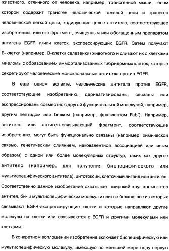 Человеческие моноклональные антитела к рецептору эпидермального фактора роста (egfr), способ их получения и их использование, гибридома, трансфектома, трансгенное животное, экспрессионный вектор (патент 2335507)