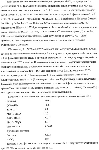 Способ получения l-аминокислот с использованием бактерии, принадлежащей к роду escherichia, в которой инактивирован один или несколько генов, кодирующих малые рнк (патент 2395567)