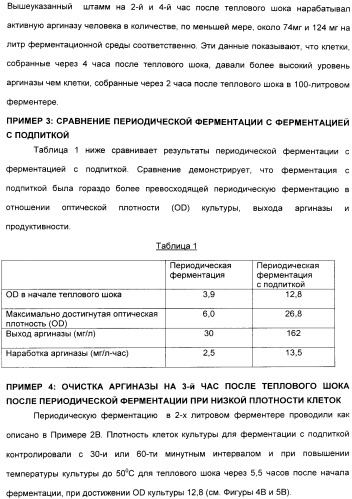 Фармацевтический препарат и способ лечения злокачественных опухолей у человека с помощью аргининовой депривации (патент 2335539)