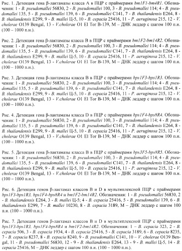Олигонуклеотидные праймеры для детекции и типирования генов  -лактамаз патогенных буркхольдерий (патент 2474614)