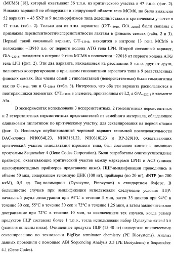 Идентификация варианта днк, связанного с гиполактазией взрослого типа (патент 2391404)