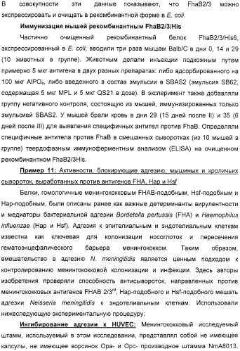 Нейссериальные вакцинные композиции, содержащие комбинацию антигенов (патент 2317106)