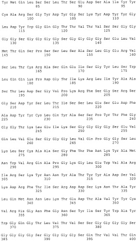 Pscaxcd3, cd19xcd3, c-metxcd3, эндосиалинxcd3, epcamxcd3, igf-1rxcd3 или fap-альфаxcd3 биспецифическое одноцепочечное антитело с межвидовой специфичностью (патент 2547600)