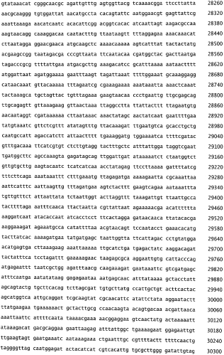 Бактериофаг, обладающий активностью против pseudomonas aeruginosa, белки бактериофага и способы их применения (патент 2580248)
