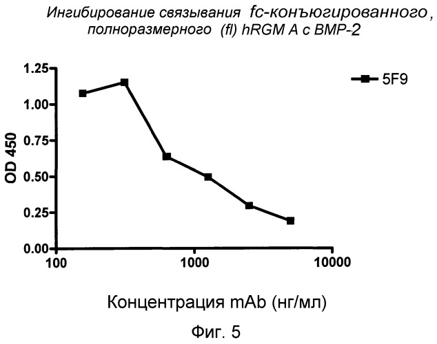 Моноклональные антитела против белка rgm а и их применение (патент 2524136)