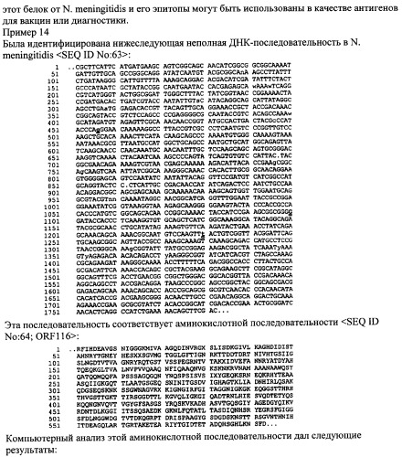 Антигены neisseria meningitidis (патент 2343159)