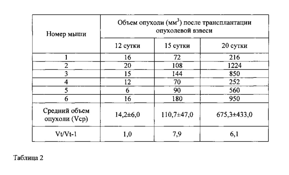 Подкожный ксенографт клеточной линии беспигментной меланомы кожи человека mel rac с мутацией nras для доклинического изучения противоопухолевых таргетных средств (патент 2651939)