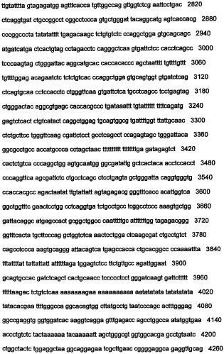 Днк, повышающая продуцирование белка, и ее применение (патент 2375450)