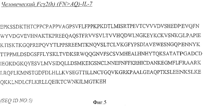 Слитые белки il-7 (патент 2369616)