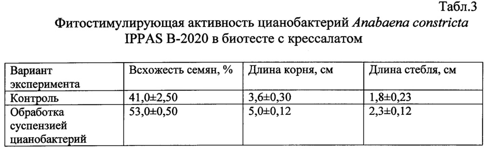 Способ стимуляции роста и развития растений, повышения урожайности и защиты от фитопатогенных грибов в аридной зоне (патент 2634387)