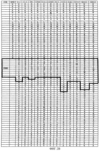 Применение антител к ctla-4 (патент 2346702)