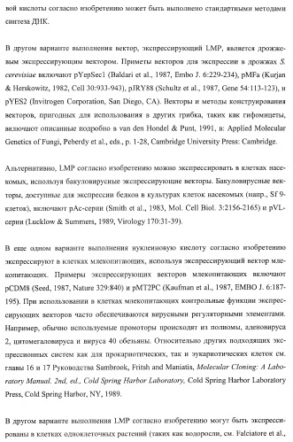 Молекулы нуклеиновых кислот, кодирующие wrinkled1-подобные полипептиды, и способы их применения в растениях (патент 2385347)