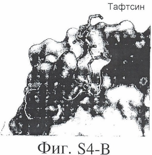 Антитело против pannrpa (варианты) (патент 2454427)