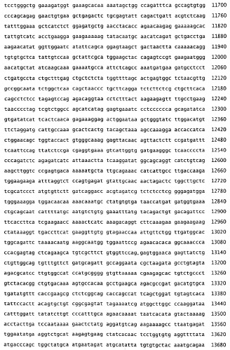 Применение рам (патент 2345785)