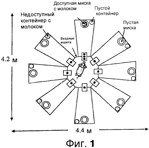 Способ улучшения обучаемости и памяти у млекопитающих (патент 2396975)