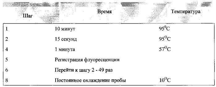 Способ определения наличия бактерий escherichia coli o157:h7 в биологических и пищевых образцах на основе иммунодетекции, сопряженной с полимеразной цепной реакцией (патент 2569196)