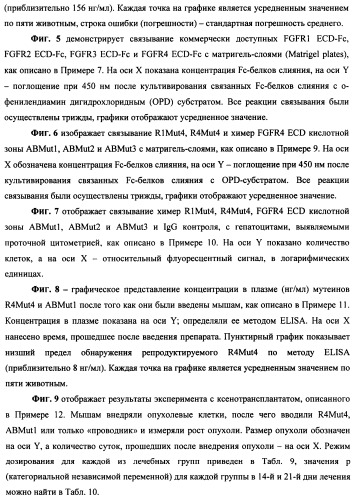 Мутеины кислотной зоны внеклеточного домена рецептора фактора роста фибробластов (патент 2509774)