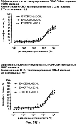 Pscaxcd3, cd19xcd3, c-metxcd3, эндосиалинxcd3, epcamxcd3, igf-1rxcd3 или fap-альфаxcd3 биспецифическое одноцепочечное антитело с межвидовой специфичностью (патент 2547600)