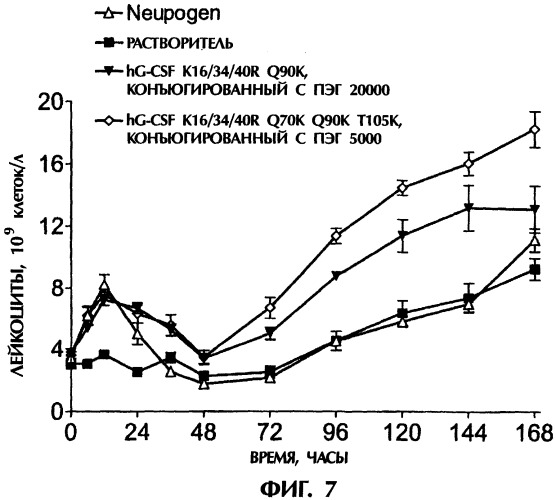 Конъюгаты g-csf (патент 2307126)