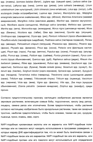 Способ повышения выхода семян растения, способ производства трансгенного растения, имеющего повышенную урожайность семян, генная конструкция для экспрессии в растении и трансгенное растение (патент 2409938)