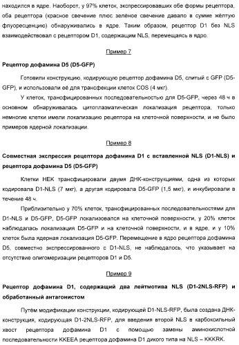 Способ идентификации соединений, взаимодействующих с трансмембранными белками (патент 2326166)