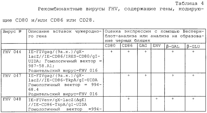 Рекомбинантный вирус, экспрессирующий чужеродную днк, кодирующую кошачий cd80, кошачий ctla-4 или кошачий cd86, и его использование (патент 2244006)