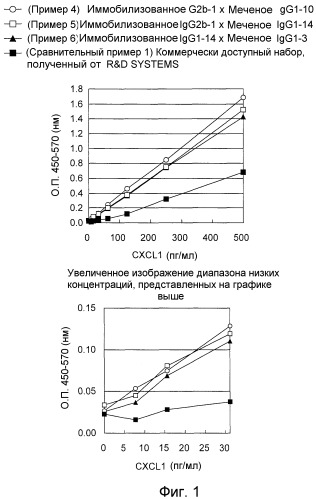 Способ иммунологического анализа белка cxcl1 человека (патент 2521669)