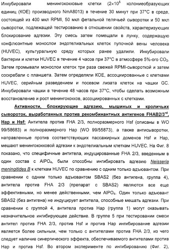 Нейссериальные вакцинные композиции, содержащие комбинацию антигенов (патент 2317106)