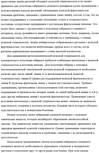 Способ избирательного получения растений с мужской или женской стерильностью (патент 2320722)