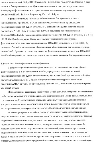 Способ продукции 4-гидрокси-l-изолейцина (патент 2402608)