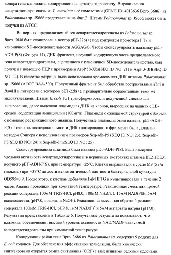 Бактерия семейства enterobacteriaceae - продуцент l-аспарагиновой кислоты или метаболитов, производных l-аспарагиновой кислоты, и способ получения l-аспарагиновой кислоты или метаблитов, производных l-аспарагиновой кислоты (патент 2472853)