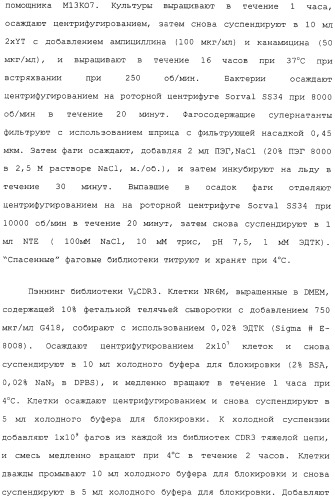 Scfv против egfrviii с улучшенной цитотоксичностью и выходом, иммунотоксины на их основе и способы их применения (патент 2317999)