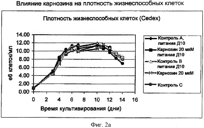 Способ получения белков с использованием соединений, препятствующих старению (патент 2491347)