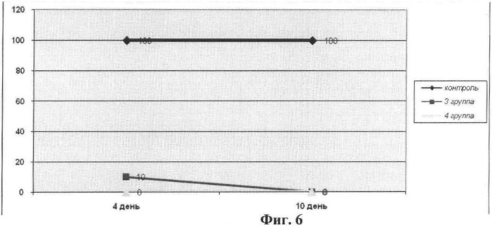 Штаммы бактерий bacillus subtilis и bacillus amyloliquefaciens, обеспечивающие восстановление микробиоценозов почвы и желудочно-кишечного тракта животных, обладающие бактерицидной, фунгицидной и вирулицидной активностью, и препарат на основе этих штаммов (патент 2482174)