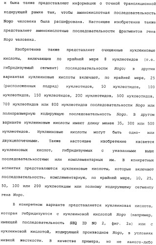 Поликлональное антитело против nogo, фармацевтическая композиция и применение антитела для изготовления лекарственного средства (патент 2432364)