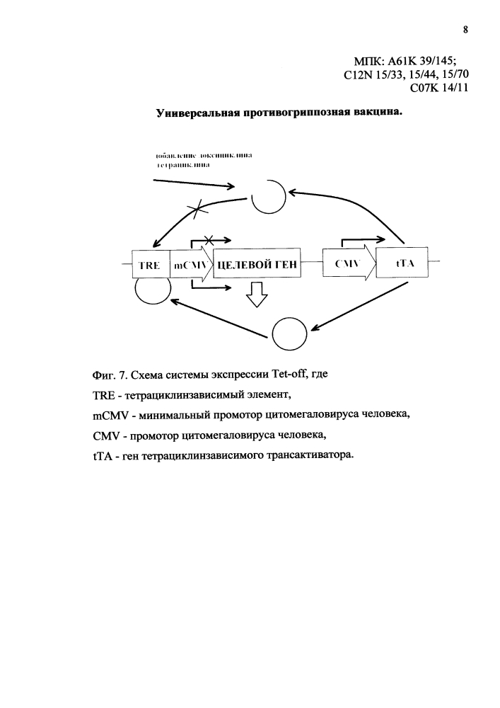 Универсальная противогриппозная вакцина (патент 2618918)