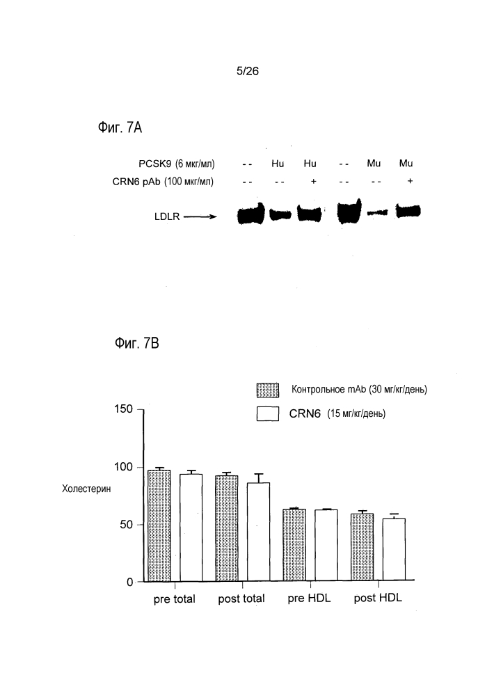 Антагонисты pcsk9 (патент 2618869)