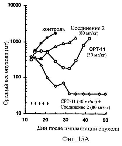 Синергические способы и композиции для лечения рака (патент 2264217)