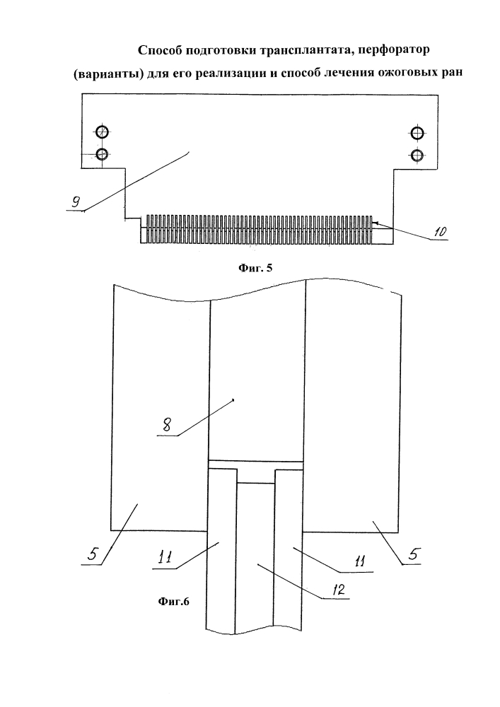 Способ подготовки трансплантата, перфоратор (варианты) для его реализации и способ лечения ожоговых ран (патент 2594446)