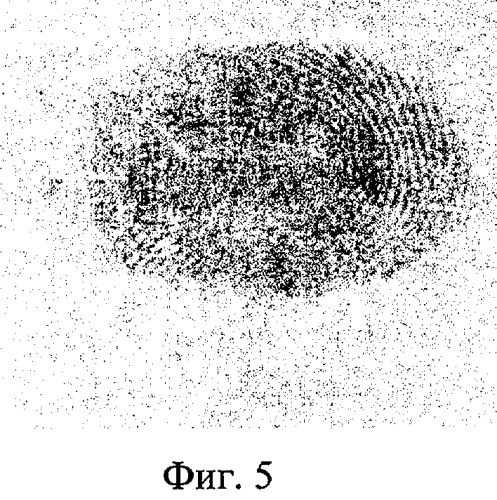 Способ установления давности потожирового следа руки (патент 2295766)