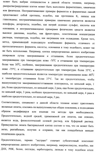 Микроорганизмы, ингибирующие образование неприятного подмышечного запаха (патент 2459864)