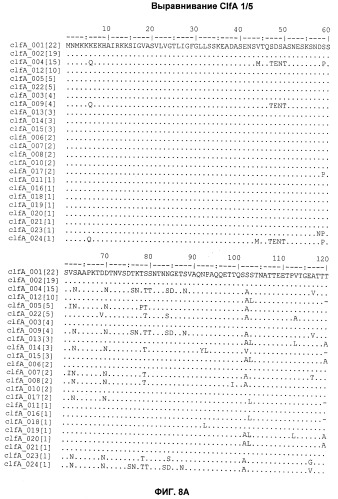 Иммуногенные композиции антигенов staphylococcus aureus (патент 2536981)