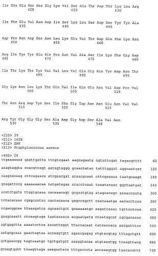 Иммуногенные композиции антигенов staphylococcus aureus (патент 2536981)