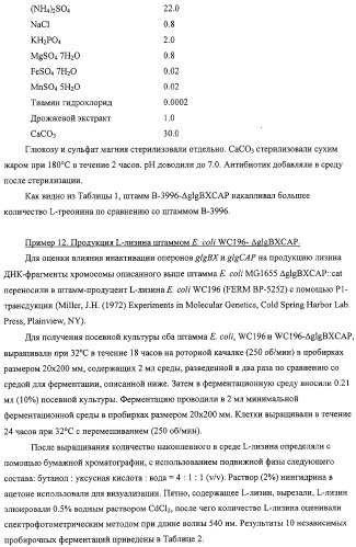 Способ получения l-аминокислот с использованием бактерии, принадлежащей к роду escherichia, в которой разрушен путь биосинтеза гликогена (патент 2315809)