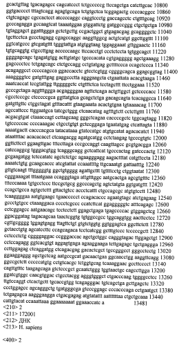 Модуляция экспрессии гентингтина (патент 2562861)