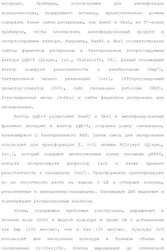Слитые белки альбумина (патент 2369404)
