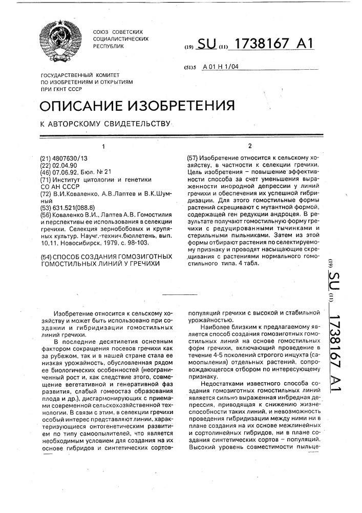 Способ создания гомозиготных гомостильных линий у гречихи (патент 1738167)